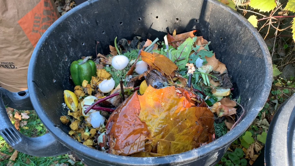 compost mixture